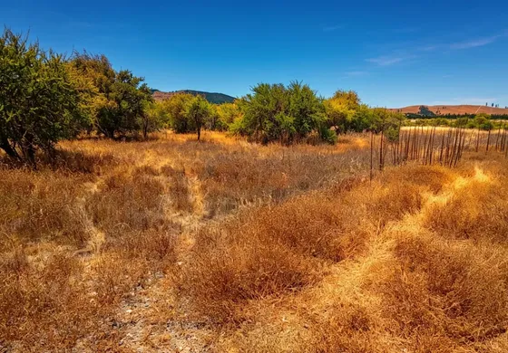 Terreno En Cauquenes Cerca De Playa
