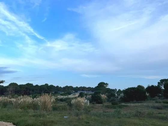 Lote En Venta En Barrio Privado Playa Brava -  Jose Ignacio - Punta Del Este