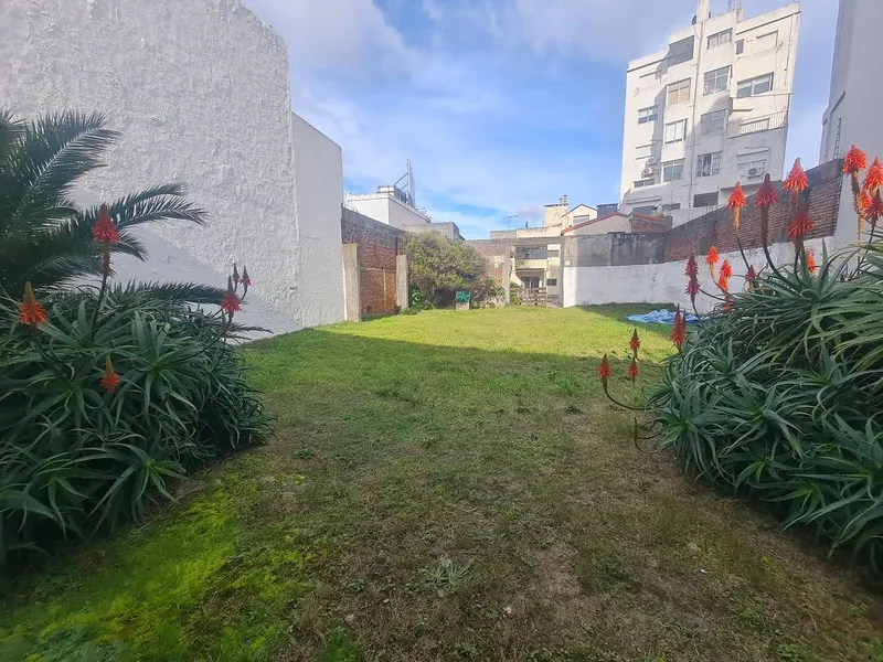 Casa Remodelada Frente Al Mar,  Jardín, Liv , 3 Dorm, Hall, Comedor, Cocina Americana, 2 Baños, Garage, Cochera, Apartamento De Ambiente, Baño Y Cocina, Gran Fondo Verde, Parrillero, Malvin