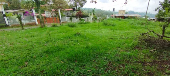 Lote En Venta En San Antonio Del Tequendama. Cod V2235