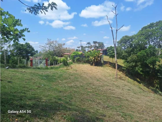 Venta Lote Occidente Armenia Quindio Colombia Cod: 7376117