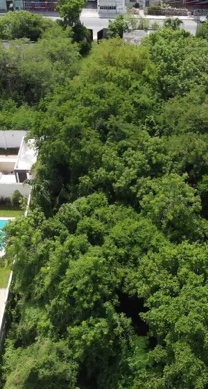 *venta Terreno En Chuburna De Hidalgo Iii