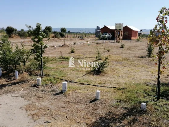 Parcela Y Casa En Venta En Marchigue 