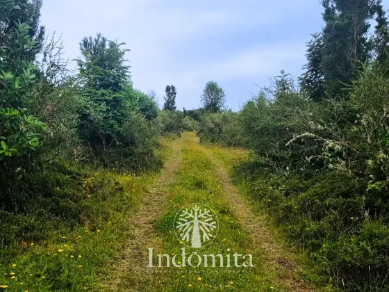 Se Vende Lindo Campo En Lelbun Chiloé A 1 Km De La Playa