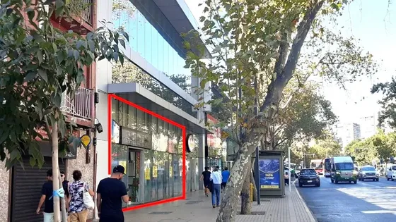 Sector Providencia / Manuel Montt