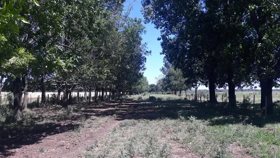 Campo Para Desarrollo Inmobiliario En Los Cardales - Reynolds Propiedades