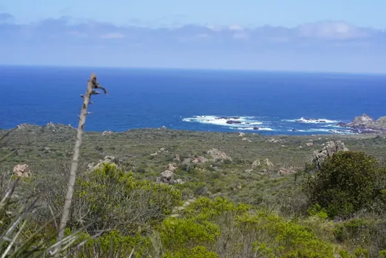 Parcela Vista Al Mar Primera Línea Condominio En Los Molles
