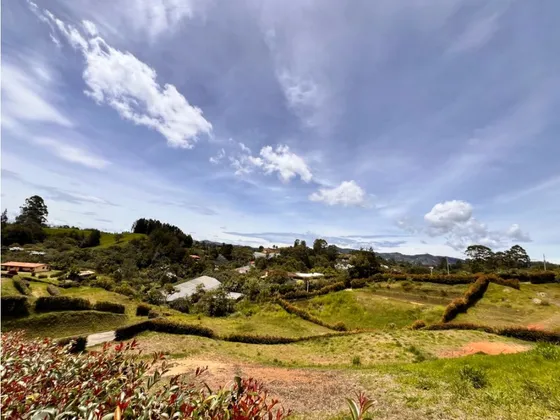 Hermosos Lotes En Venta Con Excelente Ubicación ~ Carmen De Víboral.