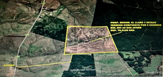 Vendo Campo Sector Requengua Huerta Maule