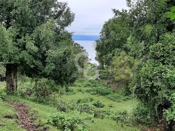 ¡oportunidad! Predio Agrícola - Turístico/puyehue. Cbg