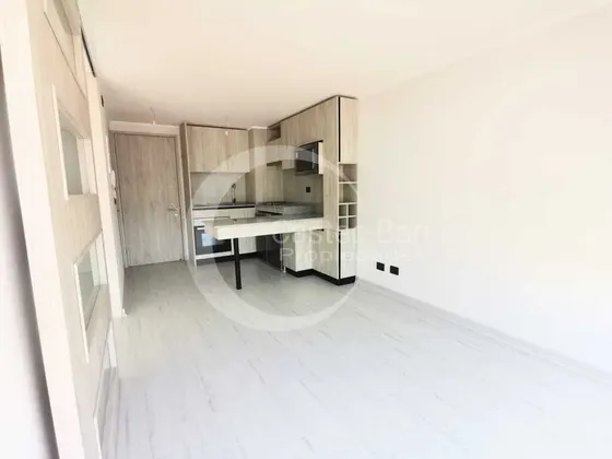 1 Dormitorio Cercano Metro Santa Isabel (137457)