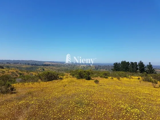 Terreno De 8,16 Ha En Venta En Algarrobo, V Region