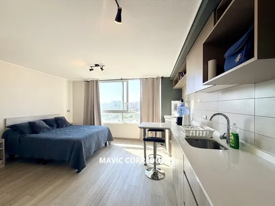Venta De Departamento En Ñuñoa
