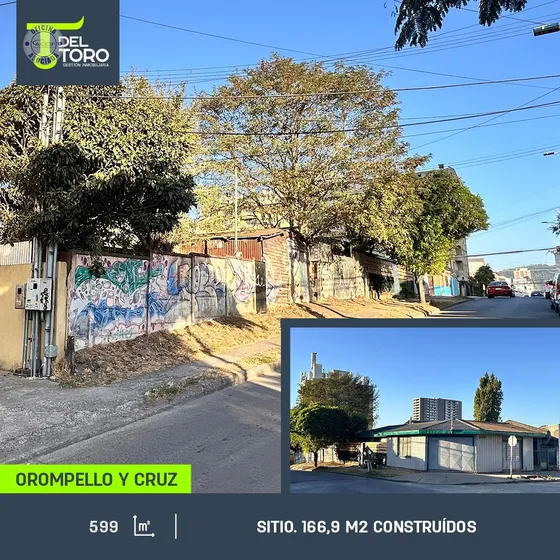 Casa En Venta En Concepción