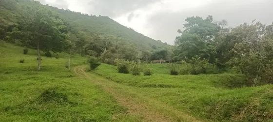 Venta De Casa Lote De 11 Fanegas En Villeta