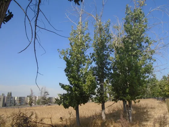 Terreno De 14.350 M2 - Pedro Fontova- Alberto Undurraga 