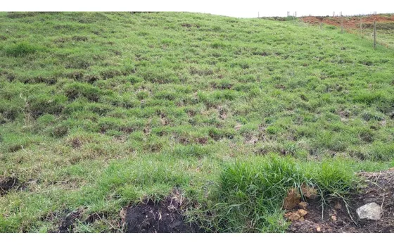 Lote En Venta Vereda La Pulgarina En San Pedro De Los Milagros 