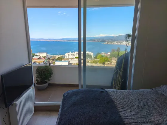 Venta Departamento Con Linda Vista Estilo Mariposa Concon