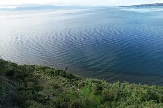 Terreno Orilla De Lago Del Llanquihue, Frutillar B...