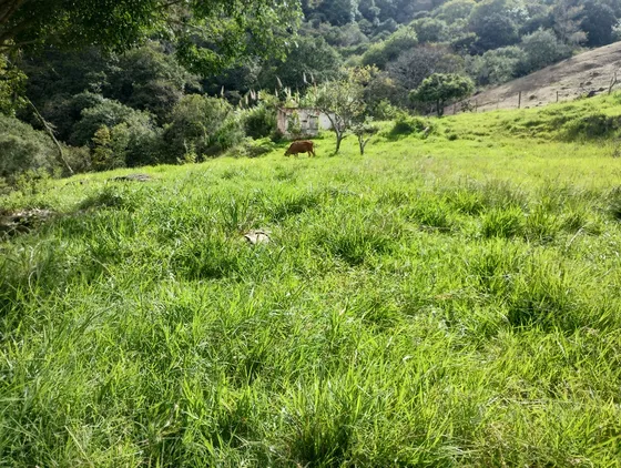 Venta De Lote Parcelacion Santana Copacabana 