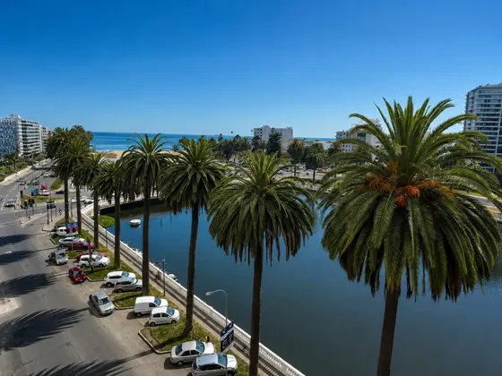 Departamento 1d + 1, 1b Ggcc Incluidos $598.000