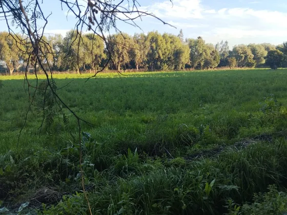 Hermosa Parcela, Talagante