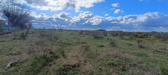 Imperdible Venta Total De 13,5 Hectáreas De Campo + 2 Construcciones Para Reciclar (3 Padrones) - Ubicada En Un Circuito De Bodegas Y Viñedos!!