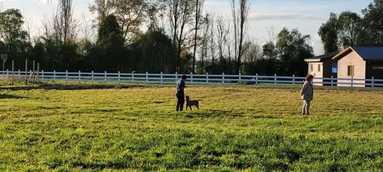 Parcela En Venta En Altos De Mulpulmo Cercano A Osorno