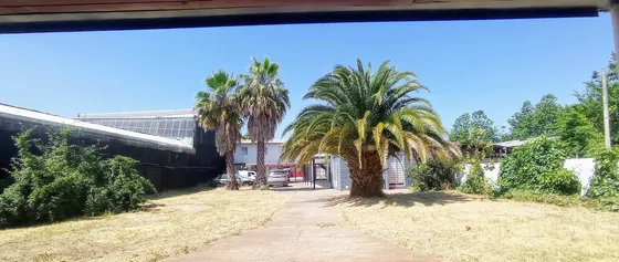 Vende Excelente Local Comercial Talca (63637)