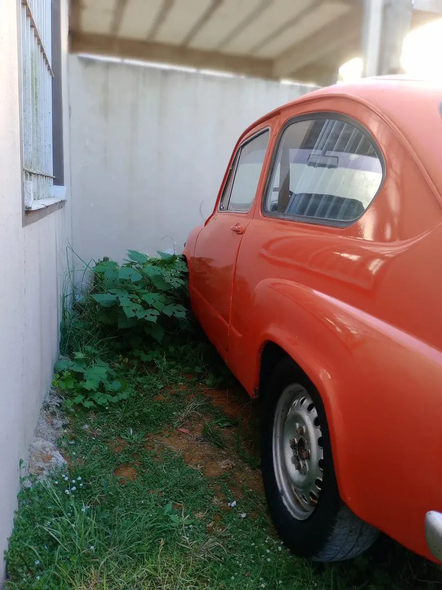 Fiat 600 0.6518685252639805442