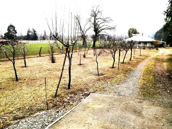 Parcela En Venta En San Fabián