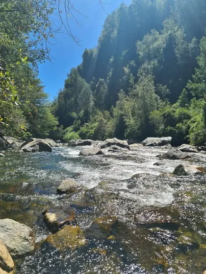 Turisticas En Venta En Futrono