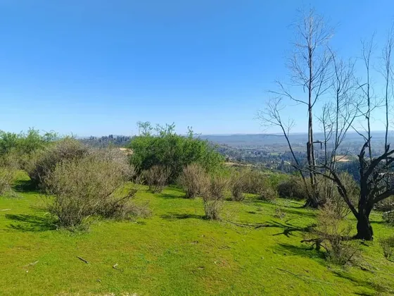 Parcelas A 10 Minutos Del Lago Rapel Sector Las Cabras