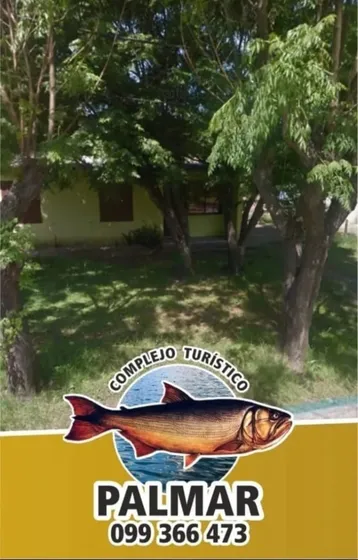 Alquiler De Casas En Palmar