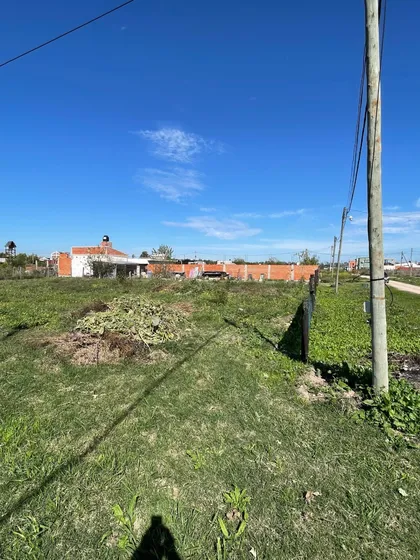 Excelentes Lotes En El Barrio Porvenir,