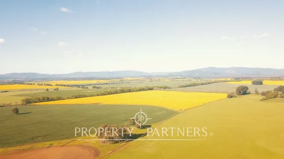 Magnifico Y Gran Campo En Venta En Traiguén.