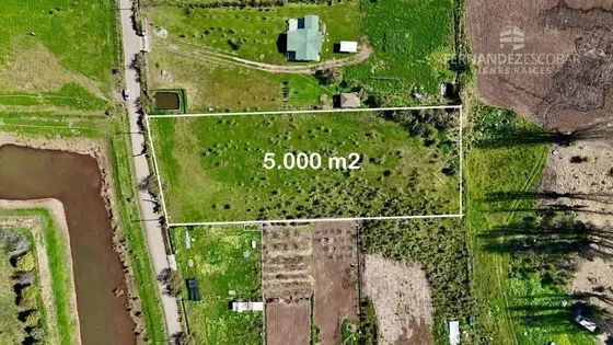 Rinconada De Silva -vende Terreno 5.000m2 - Sector Tabolango