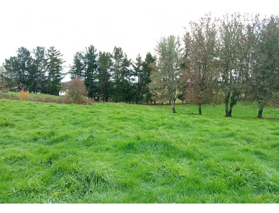 Últimas Parcelas En Brisas De Huillinco - Chiloé