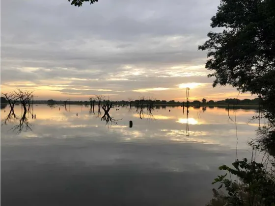 Finca En Anzoátegui 20.000has.pista Aterrizaj. Colinda Con El Orinoco.