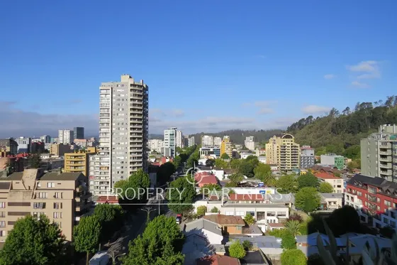 Departamento En Centro Cívico De Concepción