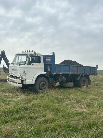 Camion Ford 1311