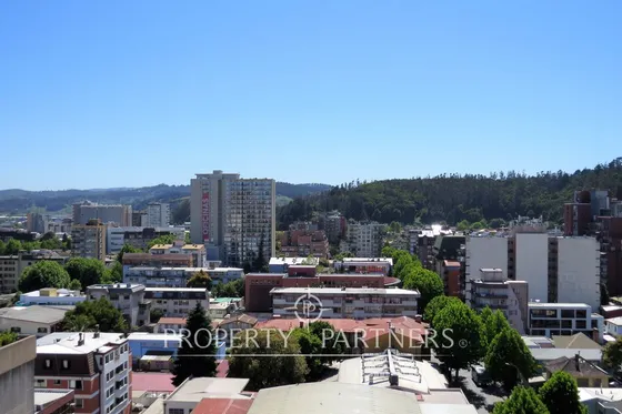 Departamento En Concepción, Cercano A Universidade...