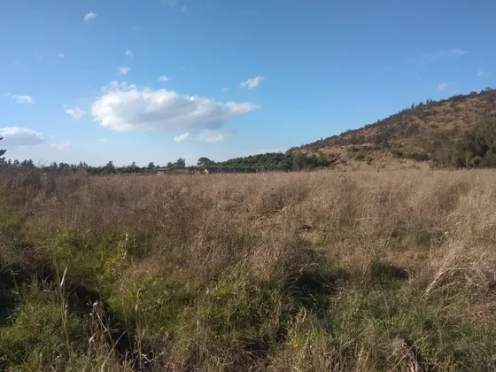 ¡oportunidad! Parcela Plana, Con Agua. Isla De Maipo