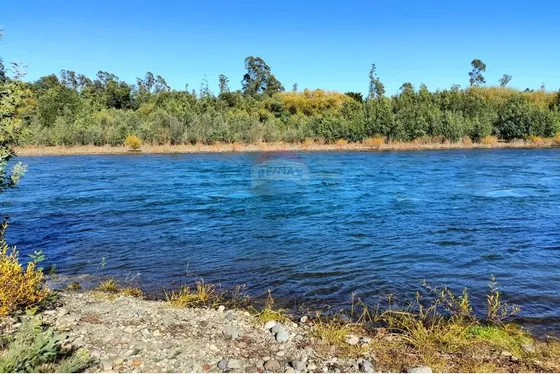 Parcela A Orillas Río Toltén Freire Araucanía