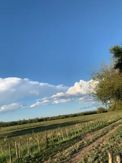 Campo A La Venta En Villa Dolores