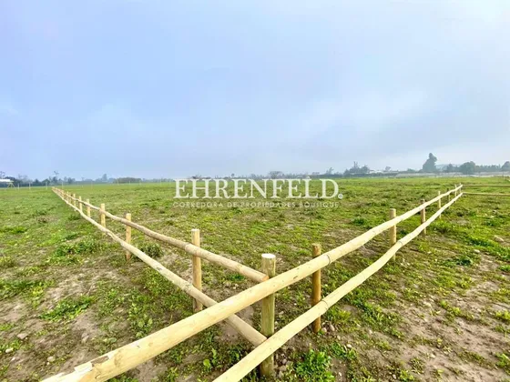 San Isidro, Quillota. Terrenos En Venta. 