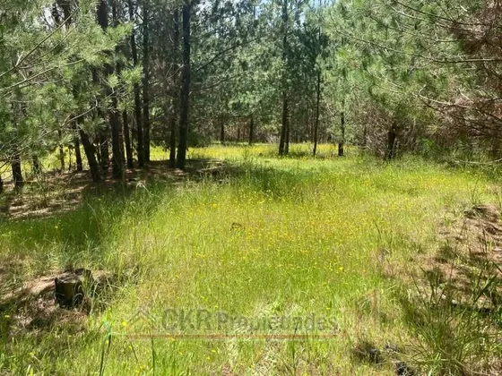 Pichilemu, Hijuelas, Parcela 5000m2, Acceso Playa 10 En Auto