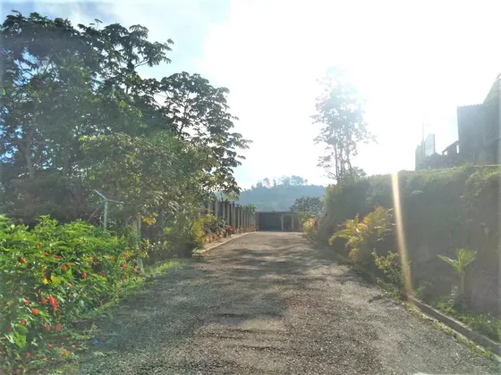 Terreno Las Polonias Nuevas Urb La Estancia 