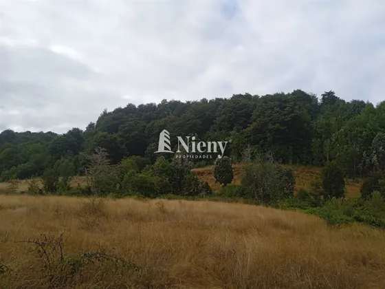 Sitio 5000 Mts En Venta Con Orilla De Estero, Los Muermos
