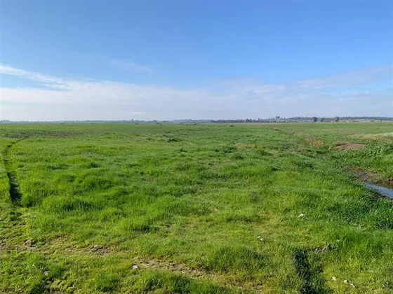 Agrícola En Venta En Chillán Viejo